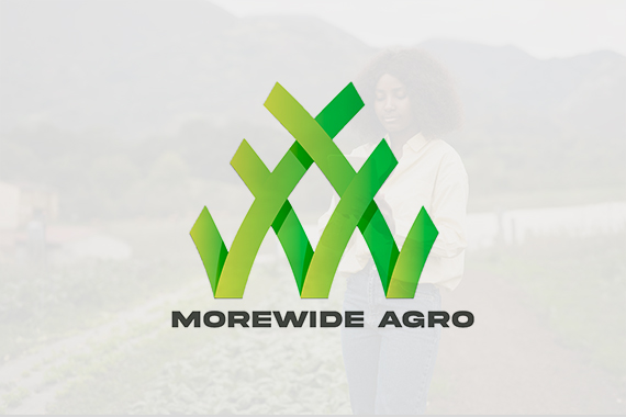 Morewide Product 3